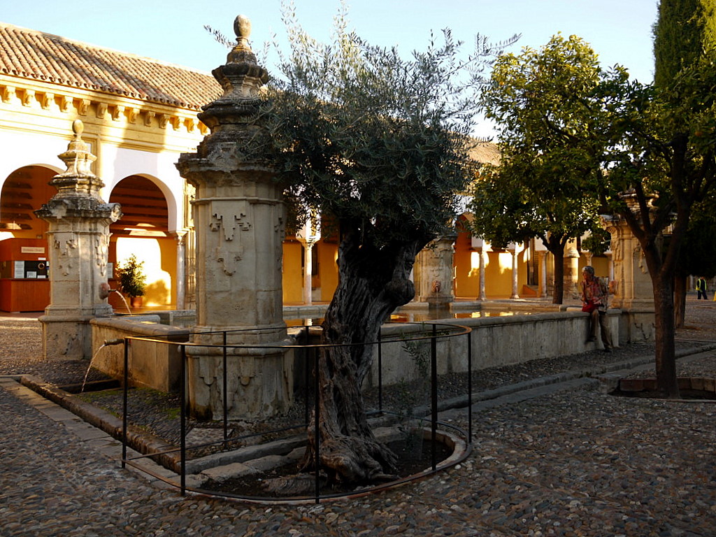 The Mesquita